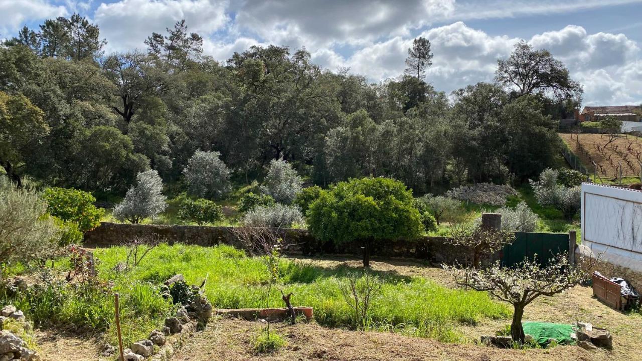 Casalinho In Portugal Country House Tomar Exterior photo